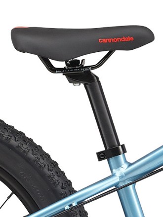 Cujo 20+ Kids' Mountain Bike