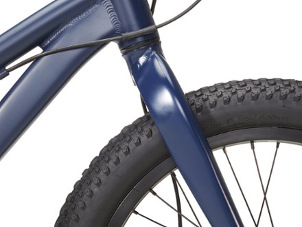 REV 20 6-Speed Plus Kids' Mountain Bike