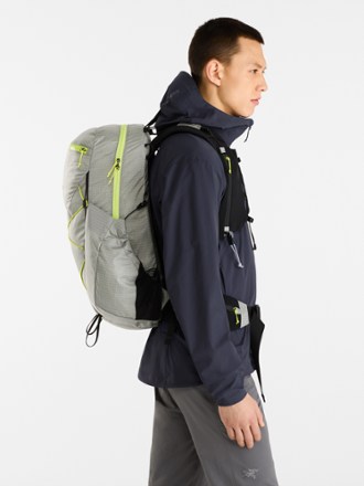Aerios 30 Pack - Men's