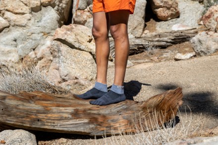 Trail Midweight Mini-Crew Socks