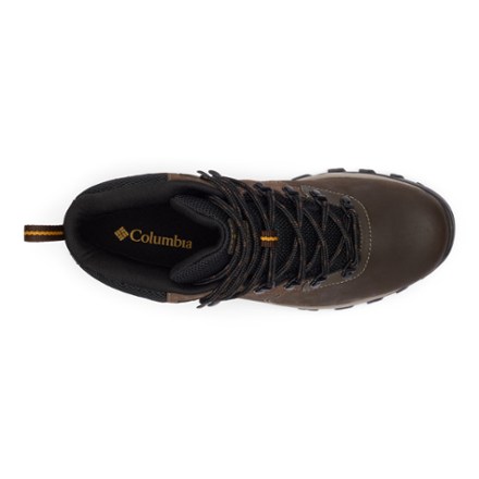 Newton Ridge Plus II Waterproof Hiking Boots - Men's