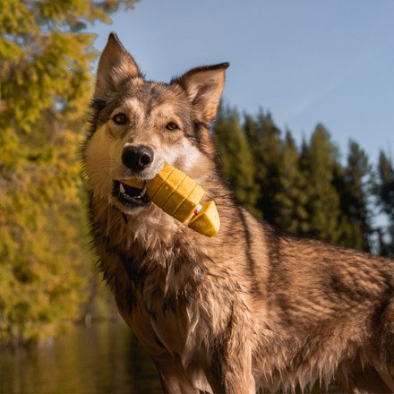 Doggone Fishin' Super Chewer Dog Toy