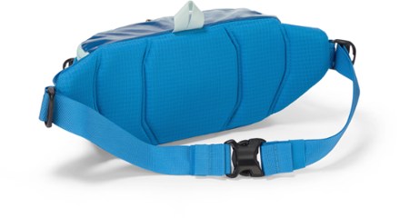 Black Hole Waist Pack 5 L