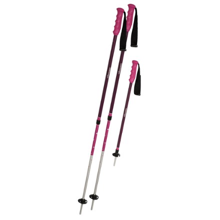 Trailblazer Trekking Poles - Pair Kids'