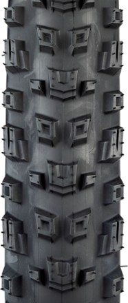 Warwick Light & Supple Tire - 27.5