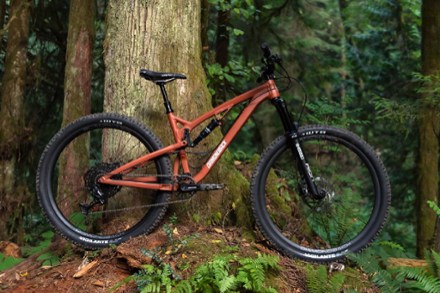 Release 29 1 Mountain Bike