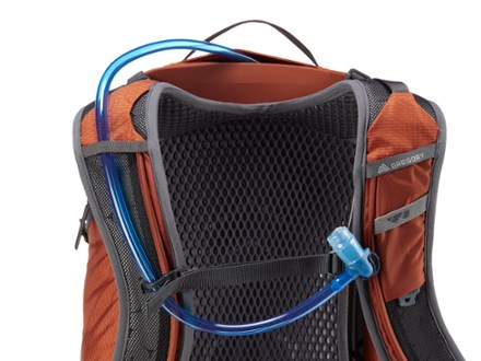 Citro 30 H2O Hydration Pack