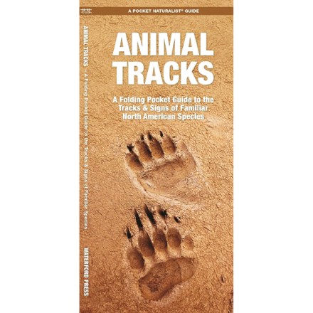 Animal Tracks Guide