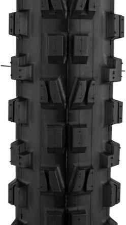Minion DHF 3C MaxxTerra EXO+ Tire