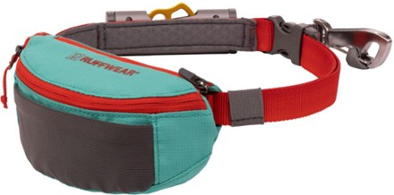 Hitch Hiker Leash