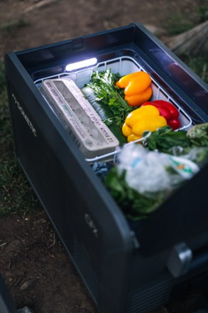 CFX5 45 Powered Cooler