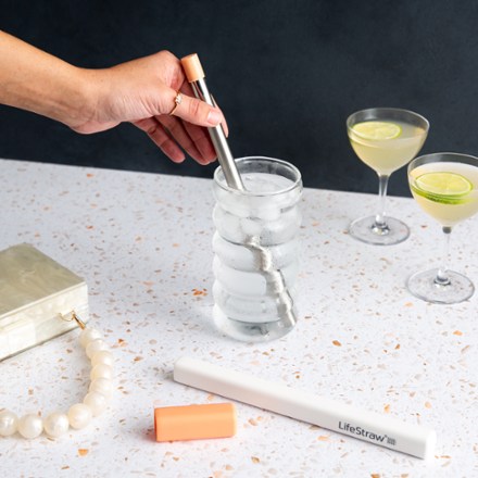Sip Reusable Stainless-Steel Water Filter Straw