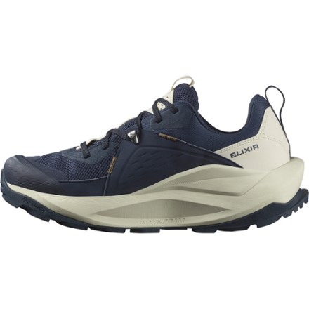 Elixir GORE-TEX Hiking Shoes - Men's