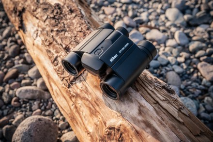 Stabilized 12 x 25 S Binoculars