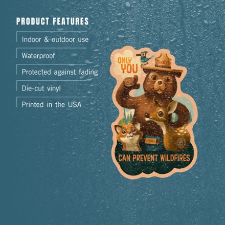 Smokey the Bear Sticker