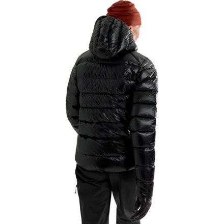 Cerium SV Down Hoody - Women's