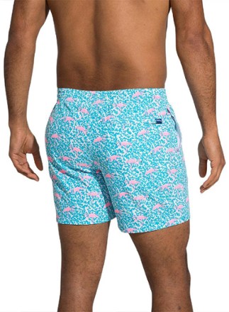 Stretch 5.5" Swim Trunks - Men's