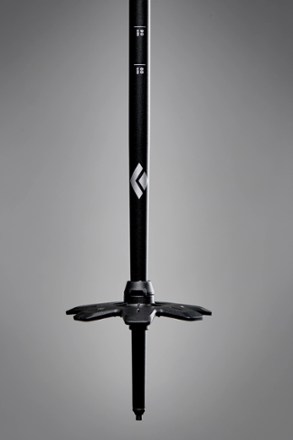 Expedition WR 3 Ski Poles