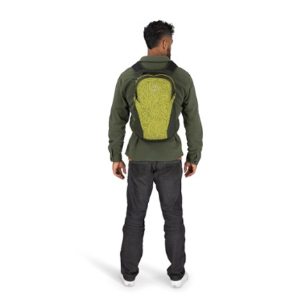 Daylite Pack Special Edition