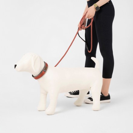 Mountain Rope Dog Leash