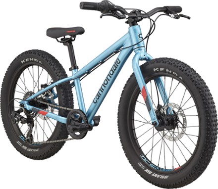 Cujo 20+ Kids' Mountain Bike