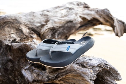 SWELLsole Cruiser Flip-Flops - Men's