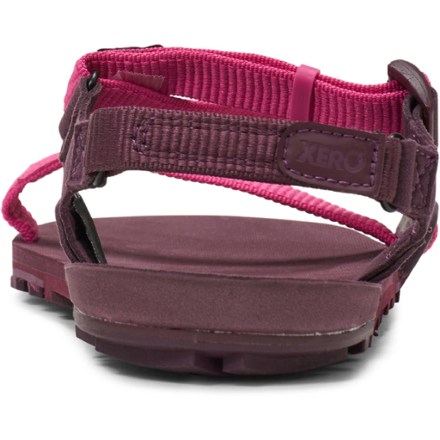 Xero Shoes Z-Trail EV Sandals - Women's | The Summit