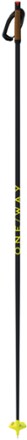 Storm 6 Dark Cross-Country Ski Poles