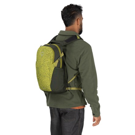 Daylite Pack Special Edition