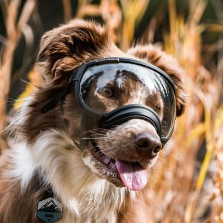 V2 Dog Goggles