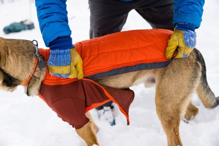 Powder Hound Jacket