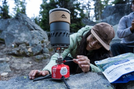Switch Stove System