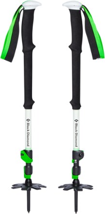 Expedition 3 Ski Poles