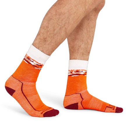 Hike+ Medium Crew Sedimentary Socks - Men's