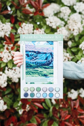 Denali National Park Paint-by-Number Kit