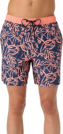 Hermosa Elastic Waist Lined 17" Swim Trunks - Men's
