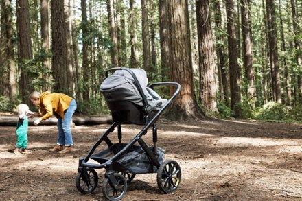 Switchback &Roll Stroller Frame