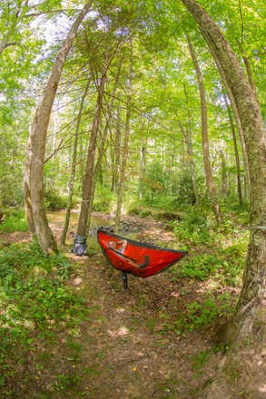 Guardian SL Hammock Bug Net