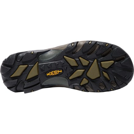 Targhee II Waterproof Hiking Shoes - Men's