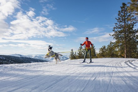 Omnijore Dog Joring System