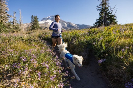 Trail Runner Dog Running Vest