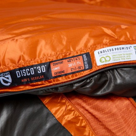 Disco 30 Endless Promise Down Sleeping Bag - Men's
