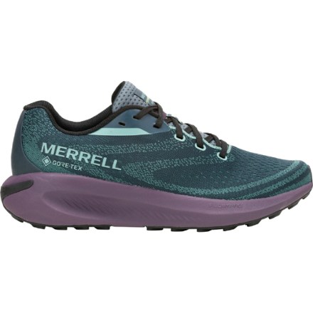 Morphlite GORE-TEX Road-Running Shoes - Men's