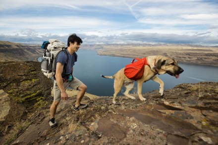Palisades Dog Pack