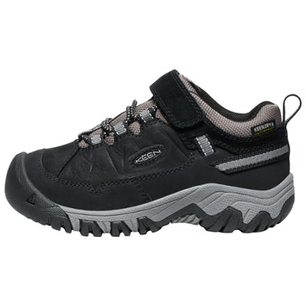 Targhee IV Low Waterproof Hiking Shoes