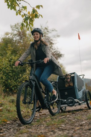Bark Ranger Bike Trailer