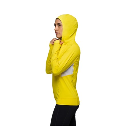 Alpenglow Pro Hoody - Women's