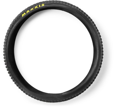 Minion DHR II 3CG/EXO/TR Tire