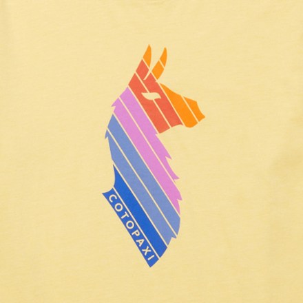 Llama Stripes T-Shirt - Men's