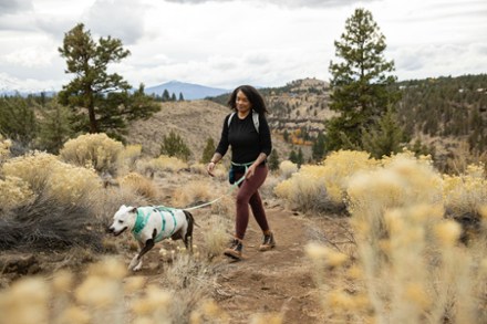 Flagline Dog Harness